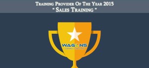 Training providers of the Year 2015 In Sales Training